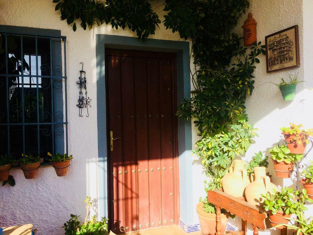 Villa Ferrer Sevilla Gines Exterior photo